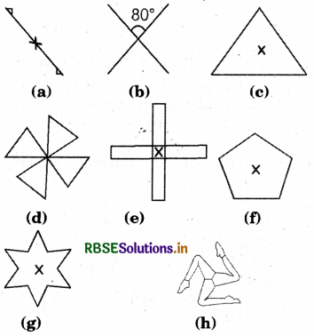 RBSE Solutions for Class 7 Maths Chapter 14 Symmetry Ex 14.2 2