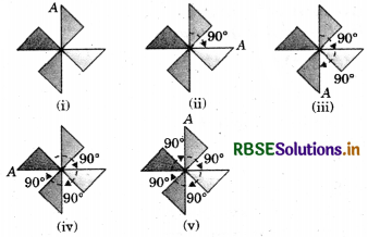 RBSE Solutions for Class 7 Maths Chapter 14 Symmetry Ex 14.2 6