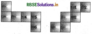 RBSE Solutions for Class 7 Maths Chapter 15 Visualising Solid Shapes Ex 15.1 2