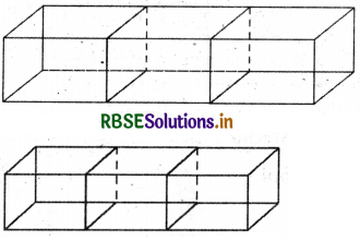 RBSE Solutions for Class 7 Maths Chapter 15 Visualising Solid Shapes Ex 15.2 10
