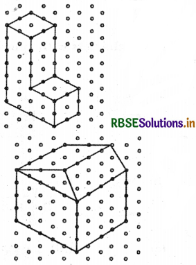 RBSE Solutions for Class 7 Maths Chapter 15 Visualising Solid Shapes Ex 15.2 11