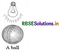 RBSE Solutions for Class 7 Maths Chapter 15 Visualising Solid Shapes Ex 15.4 1