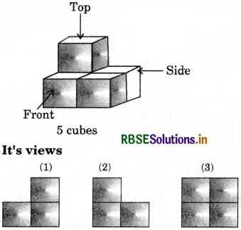 RBSE Solutions for Class 7 Maths Chapter 15 Visualising Solid Shapes Intext Questions 11