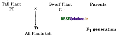 RBSE Solutions for Class 12 Biology Chapter 5 Principles of Inheritance and Variation 1