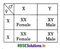 RBSE Solutions for Class 12 Biology Chapter 5 Principles of Inheritance and Variation 5