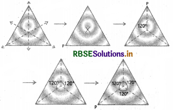 RBSE Solutions for Class 7 Maths Chapter 14 Symmetry Ex 14.3 2