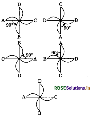 RBSE Class 7 Maths Important Questions Chapter 14 Symmetry 9
