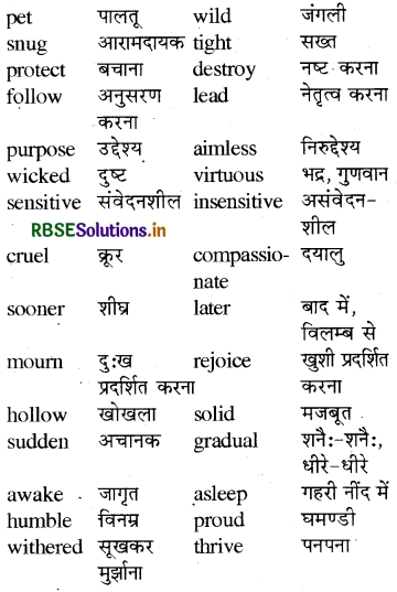 RBSE Class 7 English Vocabulary Opposites Antonyms