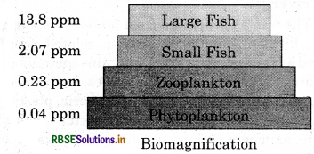 RBSE Solutions for Class 12 Biology Chapter 16 Environmental Issues 1