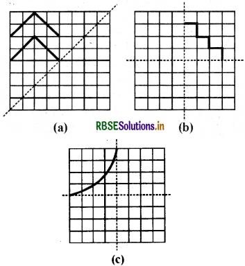 RBSE Solutions for Class 7 Maths Chapter 14 सममिति Ex 14.1 11