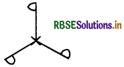 RBSE Solutions for Class 7 Maths Chapter 14 सममिति Intext Questions 5