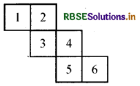 RBSE Solutions for Class 7 Maths Chapter 15 ठोस आकारों का चित्रण Ex 15.1 5