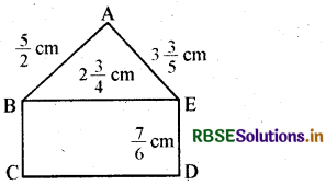 RBSE Solutions for Class 7 Maths Chapter 2 भिन्न एवं दशमलव Ex 2.1 13