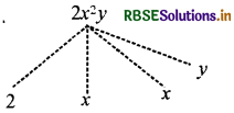 RBSE Solutions for Class 7 Maths Chapter 12 बीजीय व्यंजक Intext Questions 3