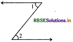 RBSE Solutions for Class 7 Maths Chapter 5 रेखा एवं कोण Ex 5.1 6
