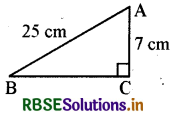 RBSE Solutions for Class 7 Maths Chapter 6 त्रिभुज और उसके गुण Ex 6.5 2