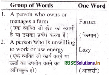 RBSE Class 6 English Vocabulary One-word Substitution 1