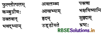 RBSE Solutions for Class 7 Sanskrit Ruchira Chapter 2 दुर्बुद्धिः विनश्यति 1