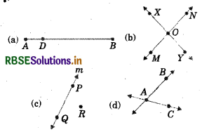 RBSE Class 6 Maths Important Questions Chapter 4 Basic Geometrical Ideas 5