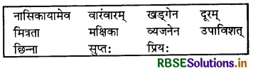RBSE Solutions for Class 7 Sanskrit Ruchira Chapter 4 हास्यबालकविसम्मेलनम् 3