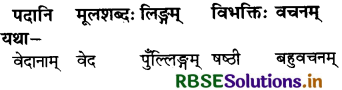 RBSE Solutions for Class 7 Sanskrit Ruchira Chapter 5 पण्डिता रमाबाई 3