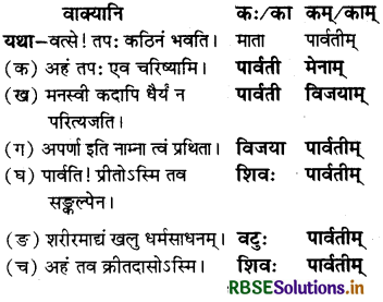RBSE Solutions for Class 7 Sanskrit Ruchira Chapter 7 सड.कल्पः सिद्धिदायकः 4