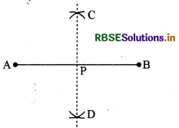 RBSE Solutions for Class 6 Maths Chapter 14 प्रायोगिक ज्यामिती Ex 14.5 1
