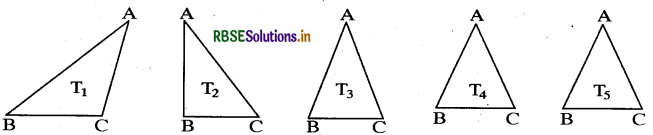 RBSE Solutions for Class 6 Maths Chapter 5 प्रारंभिक आकारों को समझना Ex 5.1 3