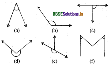 RBSE Solutions for Class 6 Maths Chapter 5 प्रारंभिक आकारों को समझना Ex 5.3 1