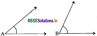 RBSE Solutions for Class 6 Maths Chapter 5 प्रारंभिक आकारों को समझना Ex 5.4 2