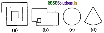 RBSE Solutions for Class 6 Maths Chapter 5 प्रारंभिक आकारों को समझना Ex 5.8 1