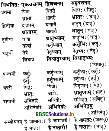 RBSE Solutions for Class 7 Sanskrit Ruchira Chapter 14 अनारिकायाः जिज्ञासा 1