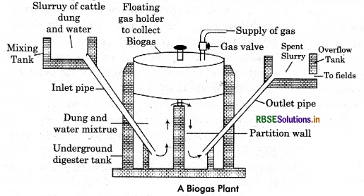 RBSE Class 12 Biology Important Questions Chapter 10 Microbes in Human Welfare 2