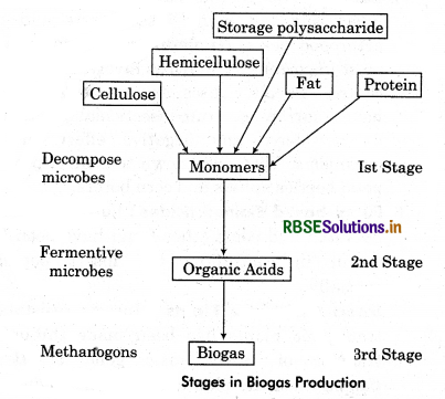 RBSE Class 12 Biology Important Questions Chapter 10 Microbes in Human Welfare 3