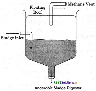 RBSE Class 12 Biology Important Questions Chapter 10 Microbes in Human Welfare 4