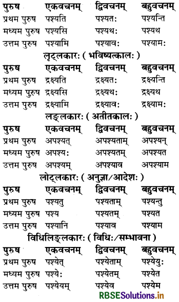 RBSE Class 7 Sanskrit व्याकरण धातु-रूपाणि 10