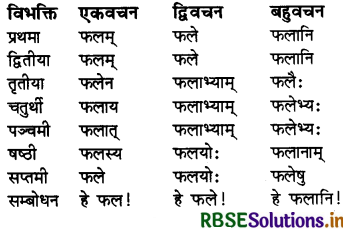 RBSE Class 7 Sanskrit व्याकरण शब्द-रूपाणि 11