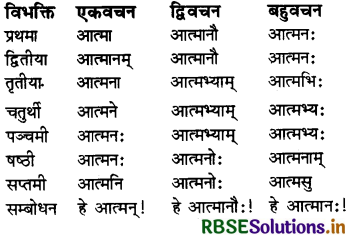 RBSE Class 7 Sanskrit व्याकरण शब्द-रूपाणि 12.1