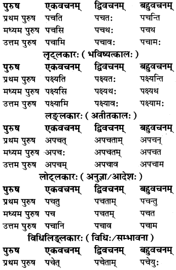 RBSE Class 7 Sanskrit व्याकरण धातु-रूपाणि 13