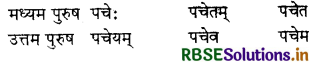 RBSE Class 7 Sanskrit व्याकरण धातु-रूपाणि 14