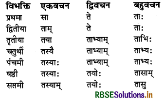 RBSE Class 7 Sanskrit व्याकरण शब्द-रूपाणि 18