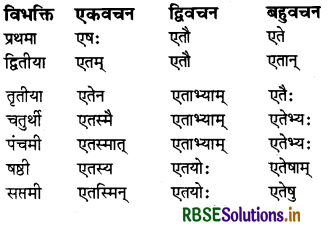 RBSE Class 7 Sanskrit व्याकरण शब्द-रूपाणि 20