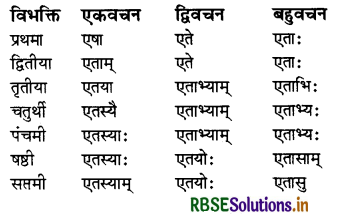 RBSE Class 7 Sanskrit व्याकरण शब्द-रूपाणि 21