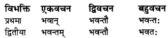 RBSE Class 7 Sanskrit व्याकरण शब्द-रूपाणि 25