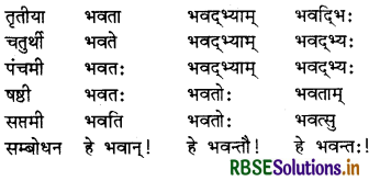 RBSE Class 7 Sanskrit व्याकरण शब्द-रूपाणि 26