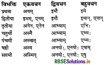 RBSE Class 7 Sanskrit व्याकरण शब्द-रूपाणि 27