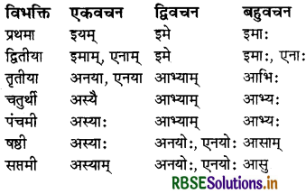 RBSE Class 7 Sanskrit व्याकरण शब्द-रूपाणि 28