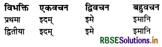RBSE Class 7 Sanskrit व्याकरण शब्द-रूपाणि 29