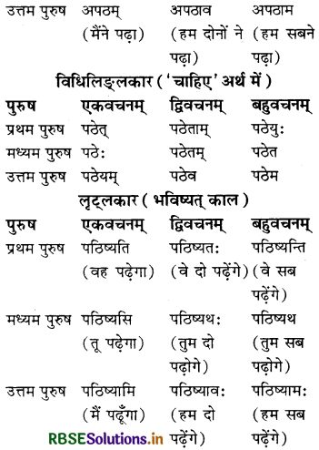 RBSE Class 7 Sanskrit व्याकरण धातु-रूपाणि 2