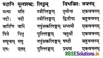 RBSE Class 7 Sanskrit व्याकरण शब्द-रूपाणि 36